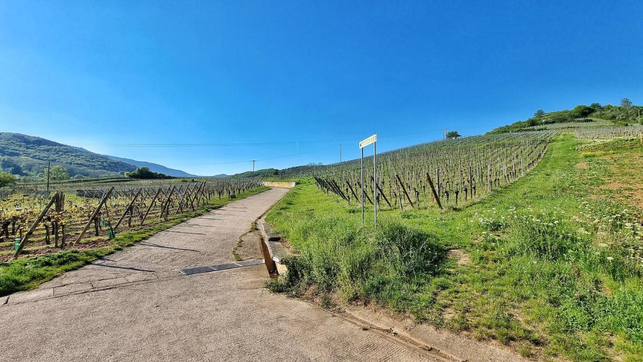 Aux Pieds Des Vignes Apartment เบิร์กไฮม์ ภายนอก รูปภาพ
