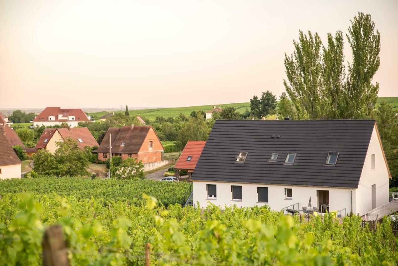 Aux Pieds Des Vignes Apartment เบิร์กไฮม์ ภายนอก รูปภาพ