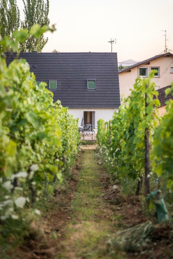 Aux Pieds Des Vignes Apartment เบิร์กไฮม์ ภายนอก รูปภาพ